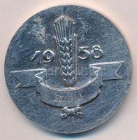 1958. "62. Országos Mezőgazdasági Kiállítás és Vásár" kétoldalas Al emlékérem, eredeti tok...