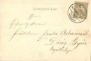 1903 Karánsebes, Caransebes; Alpengebiete, Alpe Gugu, Scarisiora, Morariu und Godeanu / mountain pea...