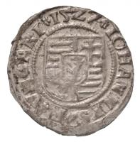 1527K-T Denár Ag "Szapolyai János" (0,5g) T:1-,2 lapkahiba  
Hungary 1527K-T Denar Ag &qu...