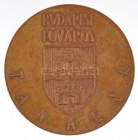 DN "Pro Urbe / Budapest Főváros Tanácsa" kétoldalas Br emlékérem (50mm) T:2