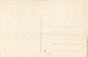 Tatabánya, Magyar Általános Kőszénbánya Részvénytársulat telepe, drótkötélpálya télen. photo