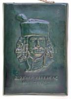 1976. "SPARTACUS Turisták II. Rákóczi Ferenc Jubileumi Emléktúrája 1676-1976" kerámia plak...