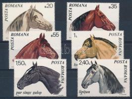 1943-1995 Animals 5 blocks + 3 sets 1943-1995 Állat motívum 5 db klf blokk + 3 sor