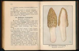 Szemere László: Gombáskönyv kezdők részére. Útmutató a gyakoribb gombák megismeréséhez és értékesíté...