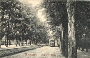 1912 Debrecen, Nagyerdői fasor villamossal . W.L. Bp. 103. Mihály Sámuel kiadása