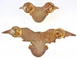 DN "A Turul Őrzője" aranyozott, zománcozott jelvény (2x) klf méretben (30x76mm és 18,5x42m...