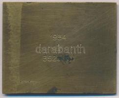 Reményi József (1887-1977) 1935. "Budapesti Budai Torna Egylet 1869" Br plakett, eredeti t...