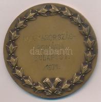 Iván István (1905-1968) 1970. "Városligeti Vajdahunyadvár" Br emlékérem, szignó nélkül hát...