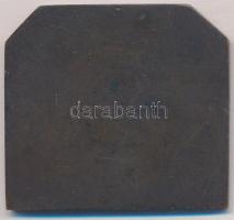 1922. "OTE (Óbudai Torna Egylet) 50 éves 1872-1922" egyoldalas Br plakett (45x50mm) T:2 ph