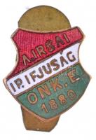 DN "A. IRSAI IP. IFJÚSÁG ÖNK. E. 1880 (Alberti-Irsai Iparos Ifjúság Önképző Egylete)" zománcozott gomblyukjelvény (12,5x13mm) T:2