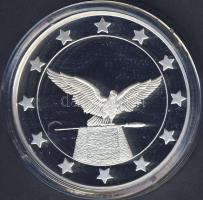 Modern emlékérem "Euró fantázia-Turul madár" Ag 20,7g T:PP Csak 2000db! RR!!