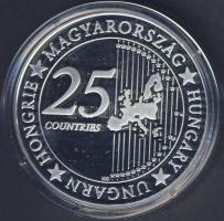 Modern emlékérem "Euró fantázia-MTA" Ag 20,7g T:PP Csak 2000db! RR!!