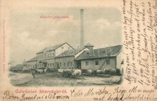 1899 Mándok, Erzsébet gőzmalom. Divald (EK)