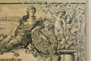 1893 Balatonfüred, a balatoni kultúregyesület díszes elismerő oklevele Brázay Kálmán (1839-1925) ker...