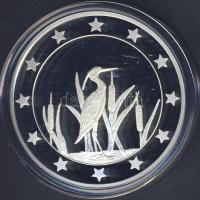 Modern emlékérem "Euró fantázia-kócsag" Ag 20,7g T:PP Csak 2000db! RR!!
