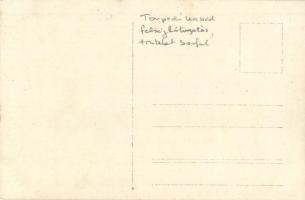 Osztrák-magyar torpedónaszád felséglátogatás közben a matrózok sorfalával / K.u.K. Kriegsmarine Torp...