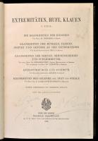 Handbuch der Tierärztlichen Chirurgie und Geburtschilfe hat kötete: III. kötet: Kopf, Hals, Brust, B...