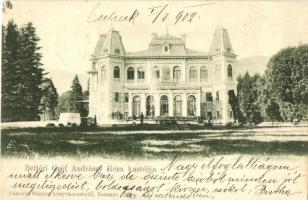 1902 Betlér, Betliar; Gróf Andrássy Géza kastélya / Schloss / castle (fl)