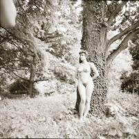 cca 1976 Mindenkinek van egy álma, szolidan erotikus felvételek, 3 db vintage negatív + 4 db vintage...