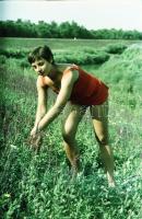 cca 1983 Mezei virágszálak, szolidan erotikus felvételek, 8 db vintage negatív, 24x36 mm