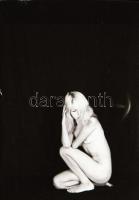 Több időpont, változó helyszínek, több modell, szolidan erotikus felvételek, 29 db vintage negatív, ...