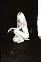 Több időpont, változó helyszínek, több modell, szolidan erotikus felvételek, 29 db vintage negatív, ...