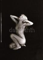 Több időpont, változó helyszínek, több modell, szolidan erotikus felvételek, 29 db vintage negatív, ...