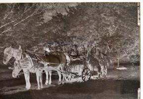 cca 1920 és 1950 közötti időből egy budapesti család felvételei, cca 600 db vintage negatív, 24x36 mm és 9x12 cm között