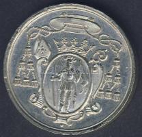 1878. "A Bakonybéli templom consecral" Zn zseton T:1-