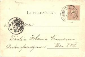 1899 Nyíregyháza, látkép, M. Jakab üzlete, szekerek. Ferenczi József kiadása (EB)