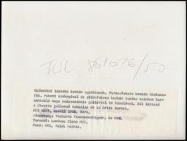 1988 "Különböző léptékű kockás együttesek" divatfotó, Tulok András MTI fotó, hátoldalán fe...