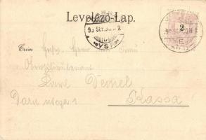 1899 Miskolc, látkép madártávlatból. Lővy József fia kiadása (EK)