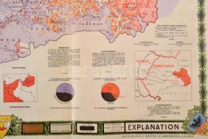 Dr. Kogutowicz Károly:Magyarország néprajzi térképe, az 1927-es térkép modern reprintje, 56x84 cm