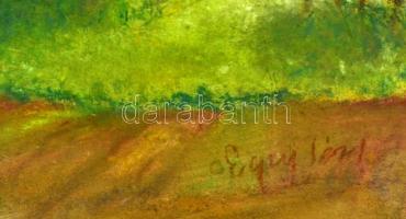 Egry jelzéssel: Badacsony. Pasztell, karton, kis vetemedéssel,  35×57 cm