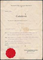 1927, 1943 Bp., Csikólevél és versenyló származási bizonyítványa