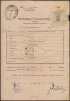 1927, 1943 Bp., Csikólevél és versenyló származási bizonyítványa