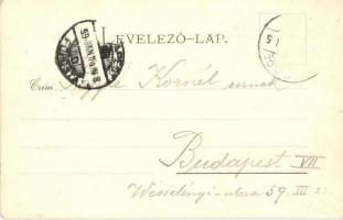 1899 Miskolc, Kossuth Lajos szobor, magyar zászló. Lövy József fia kiadása