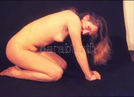 cca 1980 11 db erotikus fotónegatív