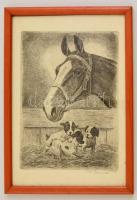 Olvashatatlan jelzéssel: Kiskutyák és a ló. Rézkarc, papír, üvegezett keretben, 23×17,5 cm