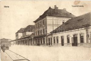 Tövis, Teius; Vasútállomás / Bahnhof / railway station (fa)