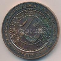 Peternák Gusztáv (1928-2003) 1985. ""Keszthelyi Éremgyűjtő Csoport / Csobánc vára" Br...