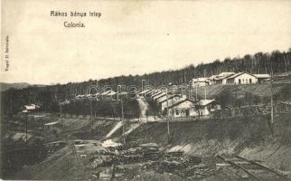 Rákosbánya, Rákosská Bana (Gömörrákos); Bánya telep, fűrésztelep. Vogel D. felvétele / Colonia / mine colony, sawmill