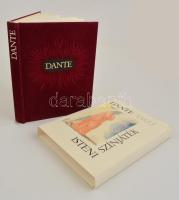 Dante Alighieri: Isteni színjáték. Fordította Babits Mihály. Salvador Dalí illusztrációival. Bp., 1987, Helikon, 317 p. Kiadói bársonykötés, kiadói papírtokban. Jó állapotban.