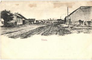 1907 Tövis, Teius; utcakép. Magyar automatagyár és kölcsönző részvénytársaság kiadása / street view (fl)