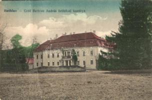 Bethlen, Beclean; Gróf Bethlen András örökösei kastélya / Schloss / castle (fa)