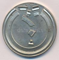 Lapis András (1942-) 1979. "Az ár betört! 1879 Március 12 éjfél után 2 óra - Száz évvel ezelőtt...