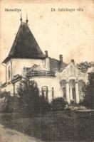 Marosillye, Ilia; Dr. Schillinger villa / castle (fa)