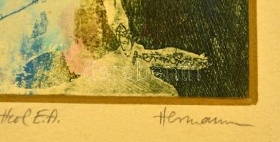 Hermann jelzéssel: Glóbusz. Színezett rézkarc, papír, 18×13 cm