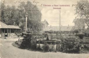 Szlatinafüred, Slatina (Aknaszlatina, Máramaros); Pável sósfürdő, park / salt bath, park (EK)