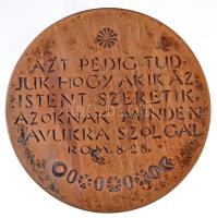 DN "Zsindelyné Tüdős Klára 1895-1980" Br emlékplakett, peremén Szign.: BG? (100mm) T:2 pat...